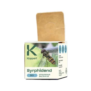 EPISYRPHUS BALTEATUS