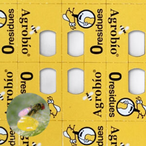 TRICHOGRAMMA ACHAEAE