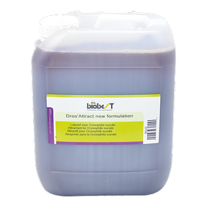 DROS' ATTRACT (ATRAIENT)