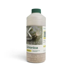 AMBLYDROMALUS LIMONICUS