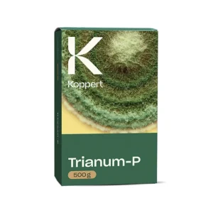 TRIANUM P