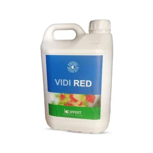 VIDIRED