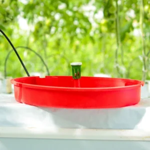 TRAMPA AIGUA TUTA