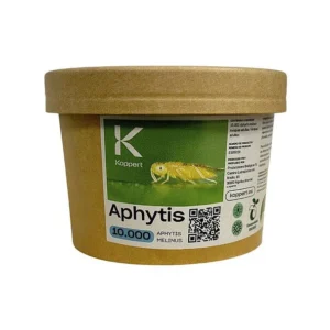 APHYTIS MELINUS